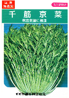 千筋京水菜