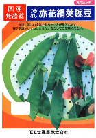 つるなし赤花絹莢豌豆