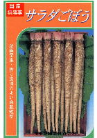 サラダごぼう