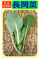 長岡菜