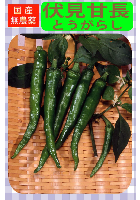 伏見甘長とうがらし