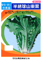 半結球山東菜