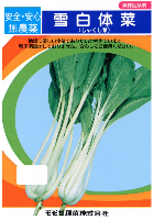 雪白体菜