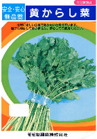 黄からし菜