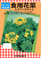 春まき絹莢豌豆