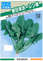 新日本ホーレン草