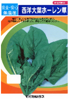 西洋大葉ホーレン草