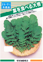 葉を食べる大根