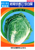 京都三号白菜