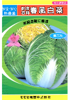 春風白菜