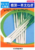 根深一本太ねぎ