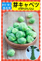 芽キャベツ