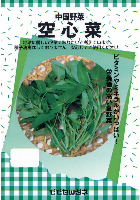 空心菜