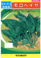 モロヘイヤ