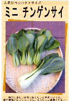 ミニチンゲンサイ