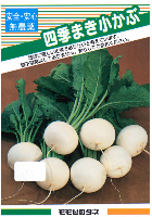 四季まき小かぶ