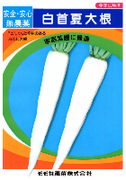 白首夏大根
