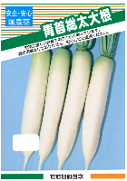 青首宮重総太大根