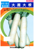大蔵大根