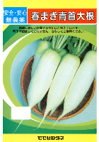 春まき青首大根