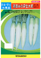 青首みの早生大根