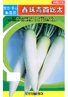 春味青首大根