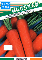 時なし五寸人参