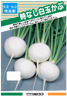 時なし白玉かぶ