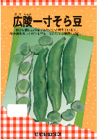 広陵一寸そら豆