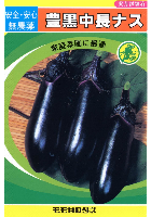 豊黒中長ナス