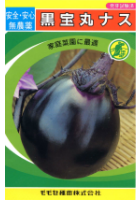 黒宝丸ナス