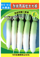 耐病青首総太大根