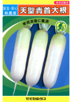 天聖青首大根