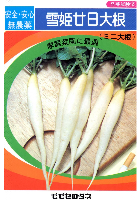 雪姫二十日大根