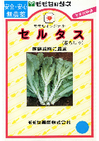 セルタス(茎チシャ)