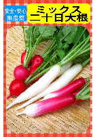 ミックス二十日大根