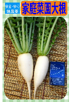 家庭菜園大根