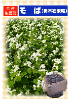 そば(栃木在来種)