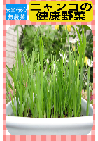 ニャンコの健康野菜