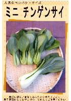 ミニチンゲンサイ