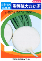 聖護院大丸かぶ