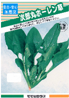 次郎丸ホーレン草