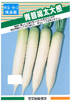 ベビーサラダごぼう