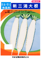 新三浦大根