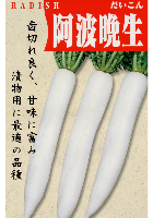 阿波晩生大根