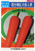 国分鮮紅大長人参