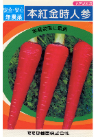本紅金時人参