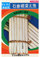 石倉根深太ねぎ