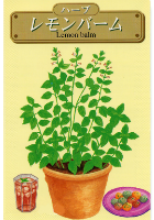 レモンバーム