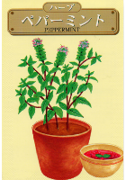 ペパーミント